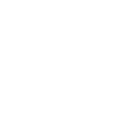 Logo Vision Blaugrana